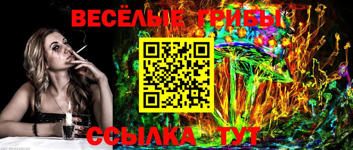 Псилоцибиновые грибы мухоморы  купить наркоту  Котлас  Вход с VPN 