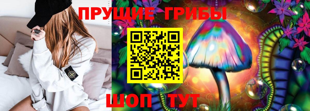 Галлюциногенные грибы прущие грибы Котлас